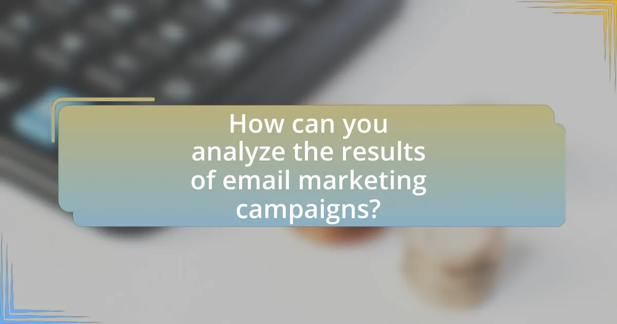 How can you analyze the results of email marketing campaigns?