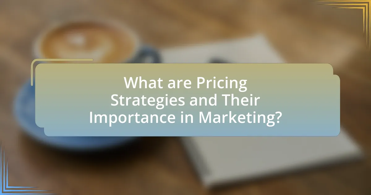 What are Pricing Strategies and Their Importance in Marketing?