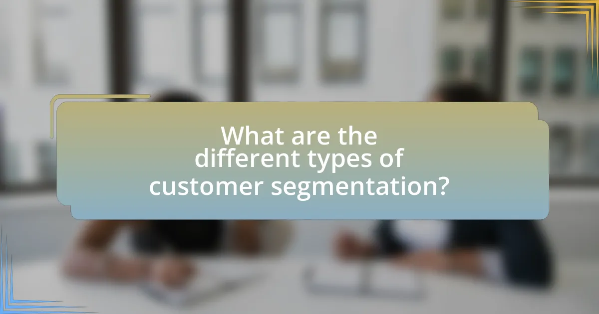 What are the different types of customer segmentation?