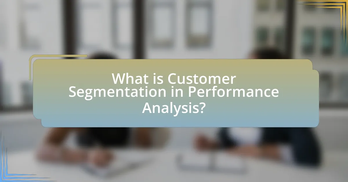 What is Customer Segmentation in Performance Analysis?